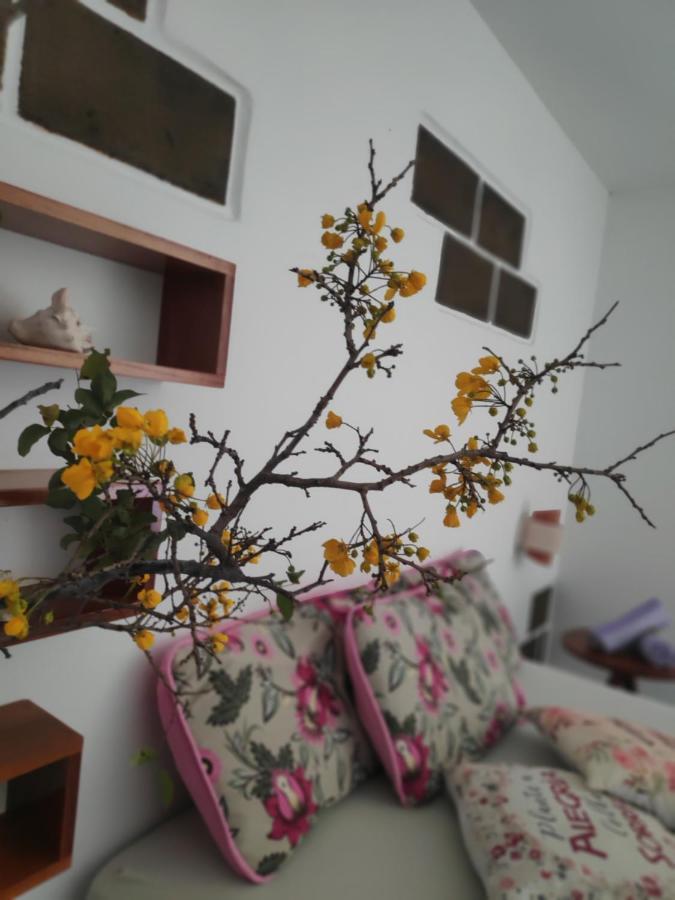 Anacardium Hotel Каноа Кебрада Екстериор снимка